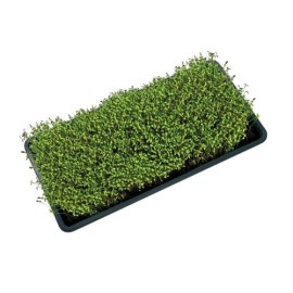 Garland_Vassoio_Microgreens8