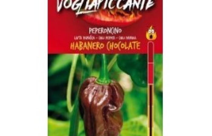 Sementi Dotto - PEPERONCINO HABANERO CHOCOLATE